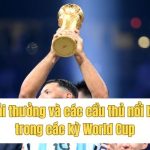 Giải thưởng và các cầu thủ nổi bật trong các kỳ World Cup