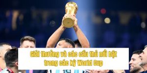 Giải thưởng và các cầu thủ nổi bật trong các kỳ World Cup