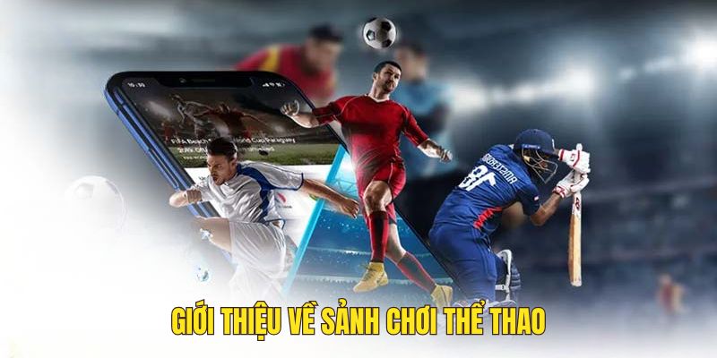 Giới thiệu về sảnh thể thao