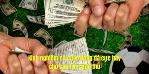Kinh nghiệm cá cược bóng đá cực hay cho các tân cược thủ
