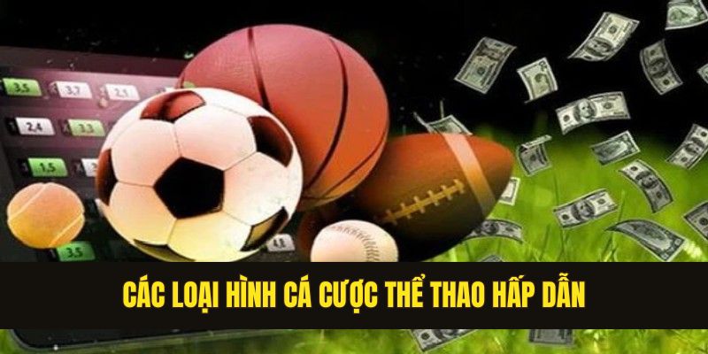 Tổng hợp các loại hình chơi cá cược thể thao hấp dẫn