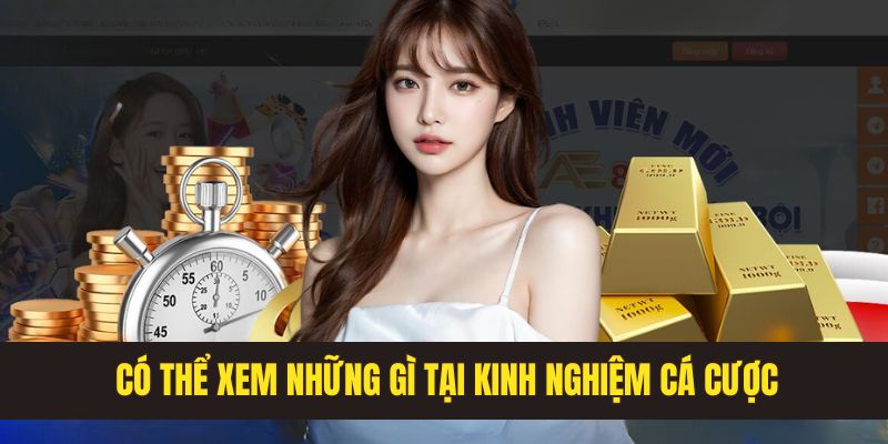Tổng hợp những nội dung hấp dẫn tại kinh nghiệm cá cược
