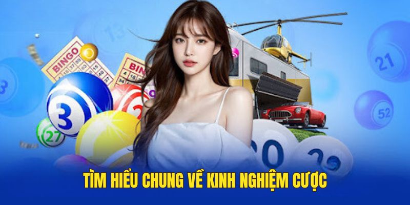 Tổng quan về danh mục kinh nghiệm cược