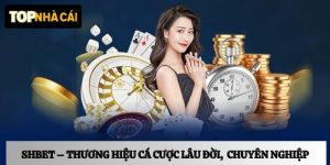 Shbet –  Nhà cái casino sôi động với hơn 4 triệu hội viên