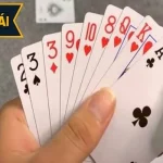 Chiến thuật gài bẫy trong bài Phỏm