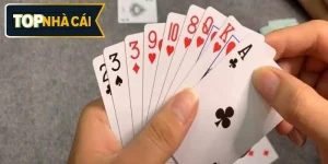 Chiến thuật gài bẫy trong bài Phỏm